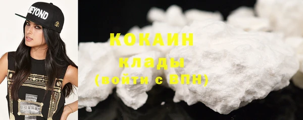 шишки Белая Холуница