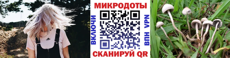 Псилоцибиновые грибы ЛСД  Ангарск 